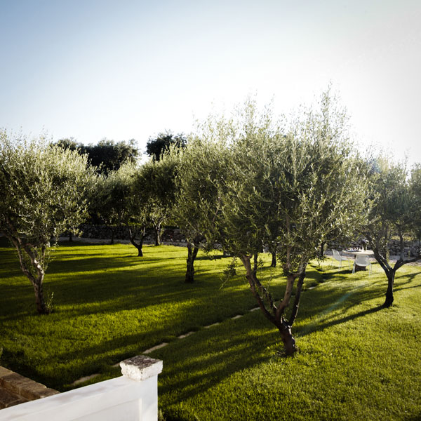 Entrance to Masseria Alchimia at night
